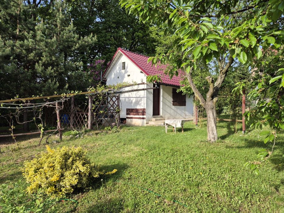 Działka ogrodowa