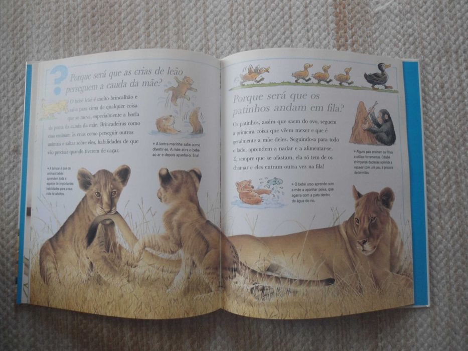 Porque será que os Cangurus têm bolsas e outras perguntas