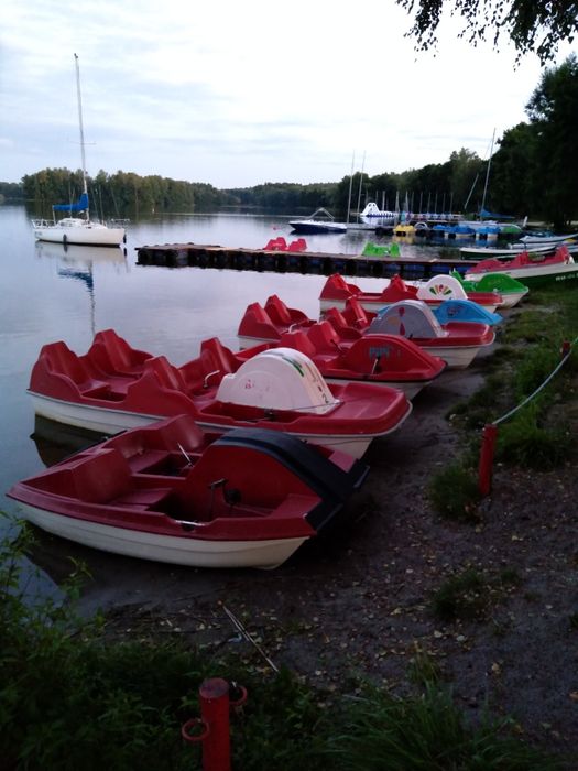 Wynajmę domek nr 1 - Mazury - Wilimy   - wolny,