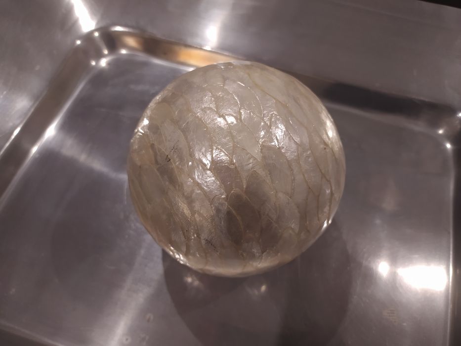 Bandeja em inox escovado