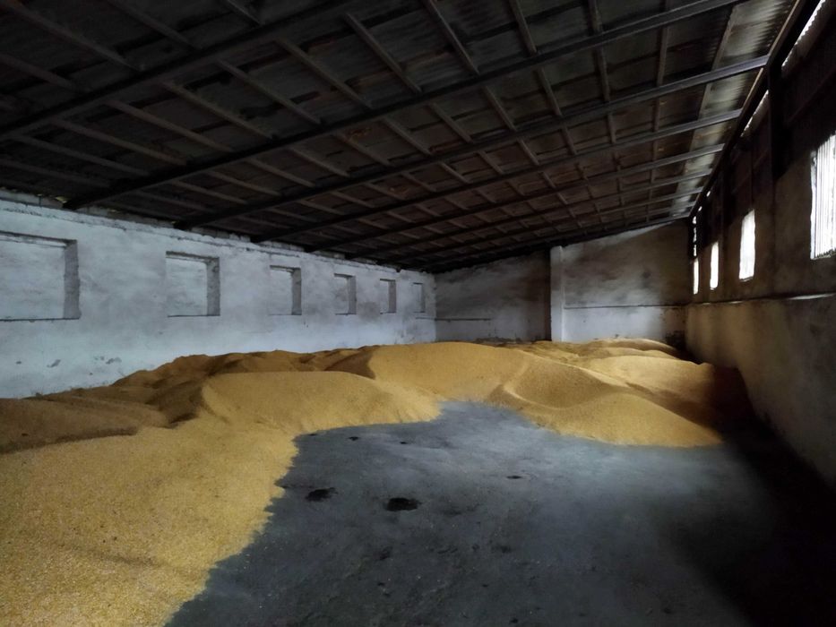 Продаж комплексу нежитлових будівель, с.Подвірне Чернівецької обл.