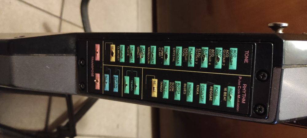 Cyfrowa gitara Casio DG-20