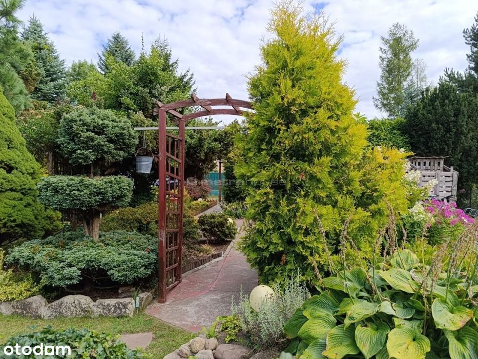 Działka na sprzedaż, Sokolniki-Las1