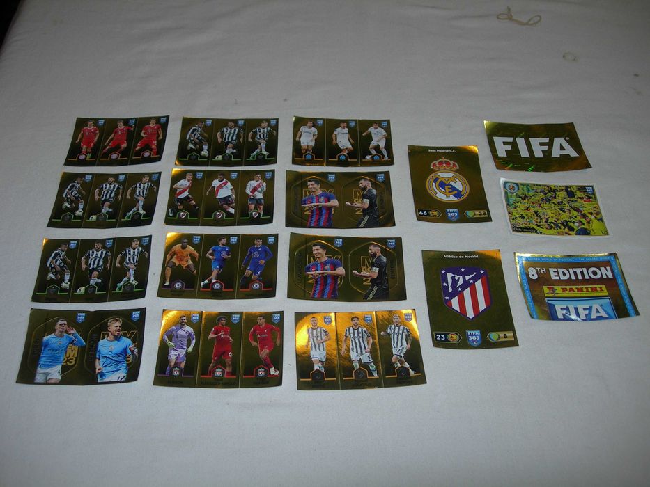 Panini FIFA. Panini FIFA.