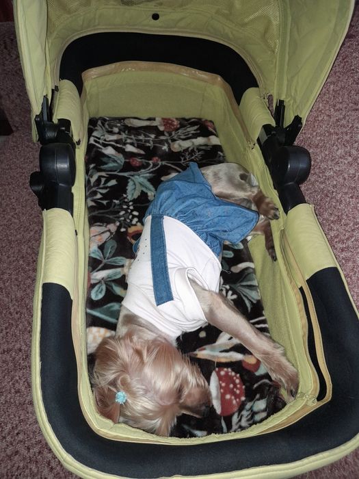 Відам переноску для тварин.тільки читаїте будласка ,що написано в огол