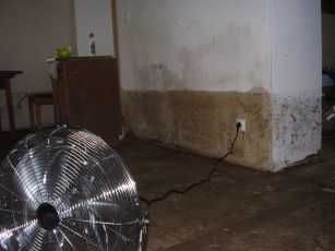 Osuszacz powietrza, wynajem osuszacza, osuszanie, badanie wilgoci