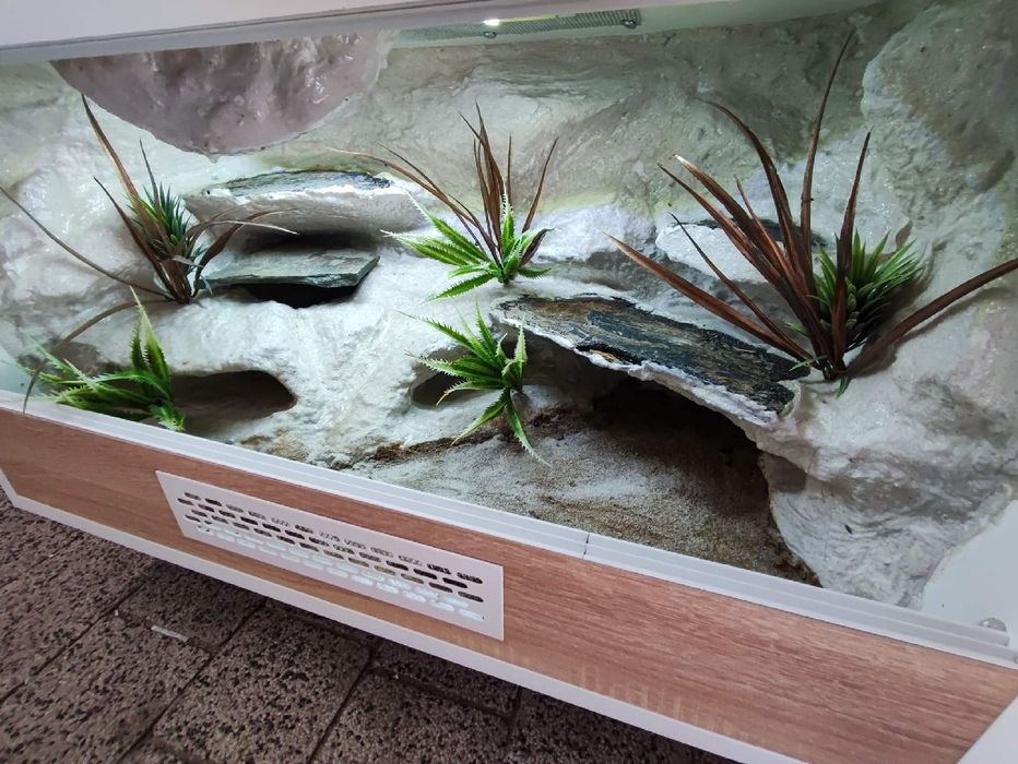 Terrarium 60x40x40 gekon lamparci jaszczurka PETMARKET