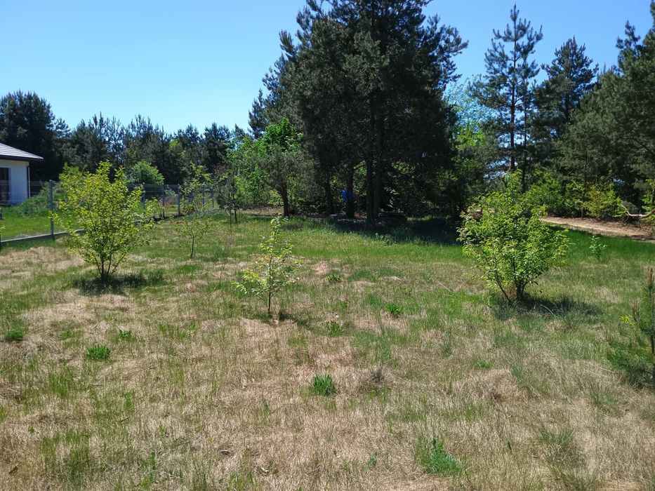 Działka ROD Na-Sielski 400 m2
