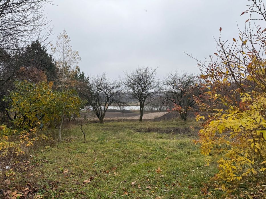 Продам дачну ділянку з будинком біля лісу