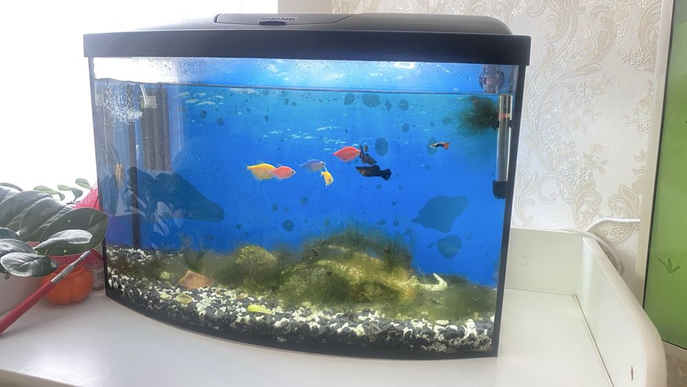 Аквариум 62 литра, діти награлися тому продаєм!