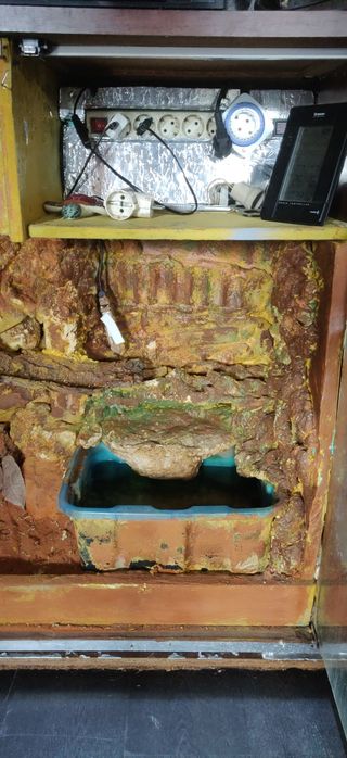 Terrário para répteis ou anfíbios. 1.25x1x0.50