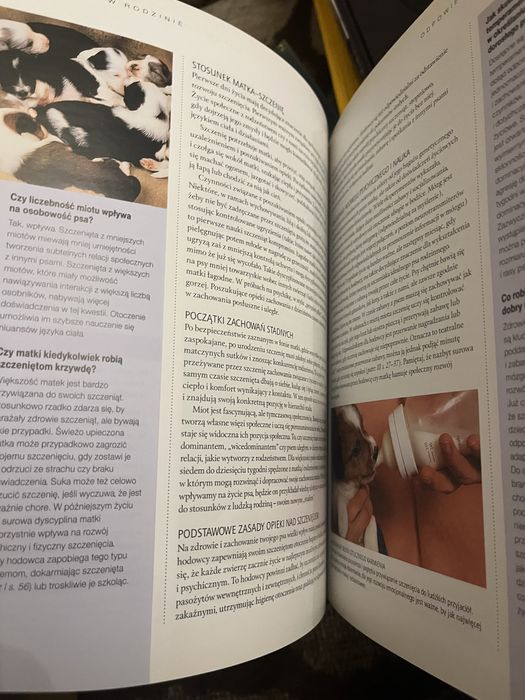 Wielka encyklopedia psy zdrowie część 1 MUR