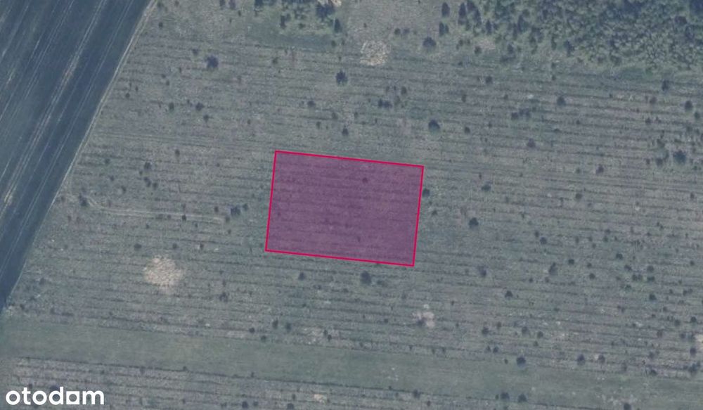 Działka 118/11 w Gołębiewie