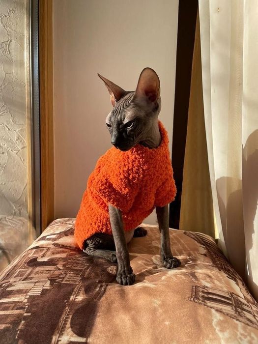 Одежда для кошек, котят, собак,сфинксов,кота, одяг для тварин на заказ