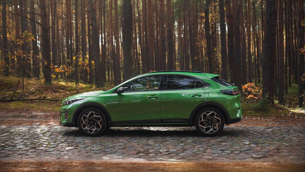 Zdjęcie w galerii numer 6