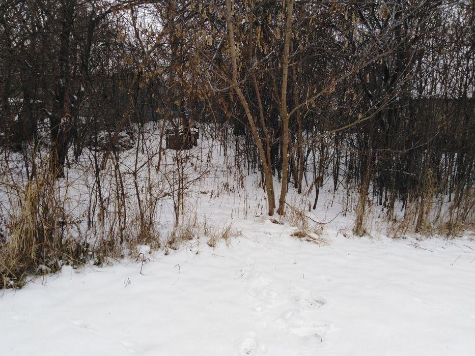 В селі Пустотине  від Кіїва 85 к в Чернігівській об до Кіїва нова т