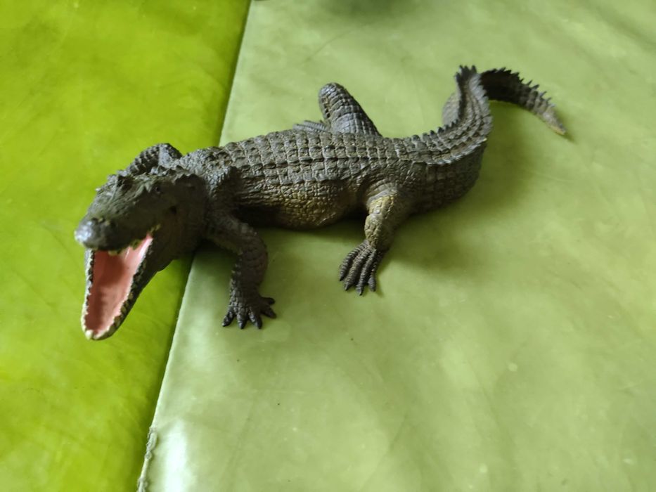 Animais Selvagens como novos Série model