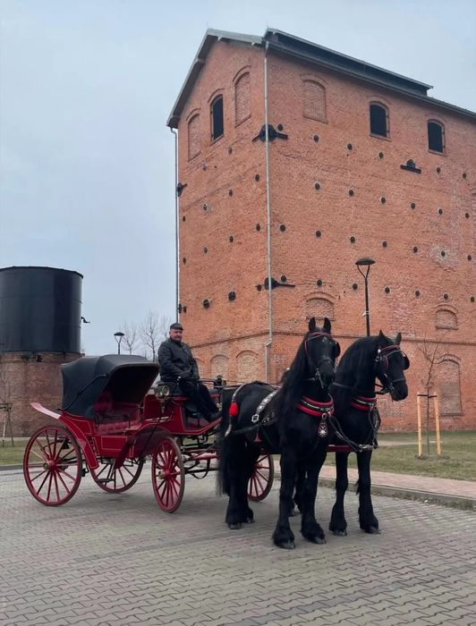 Bryczka Victoria powóz konny