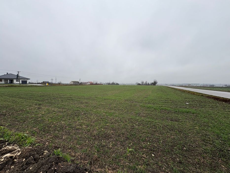 Dzialki blisko Zamoscia 15a