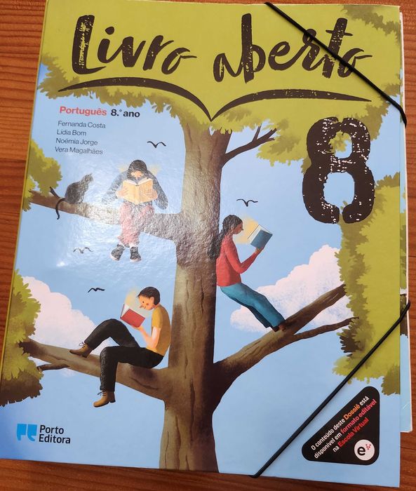 Dossier Completo  do Professor