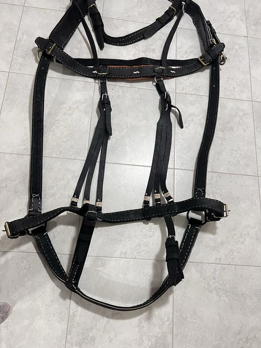 Шлея шкіряна на коня. Преміум якості ,Виробник Румунія!