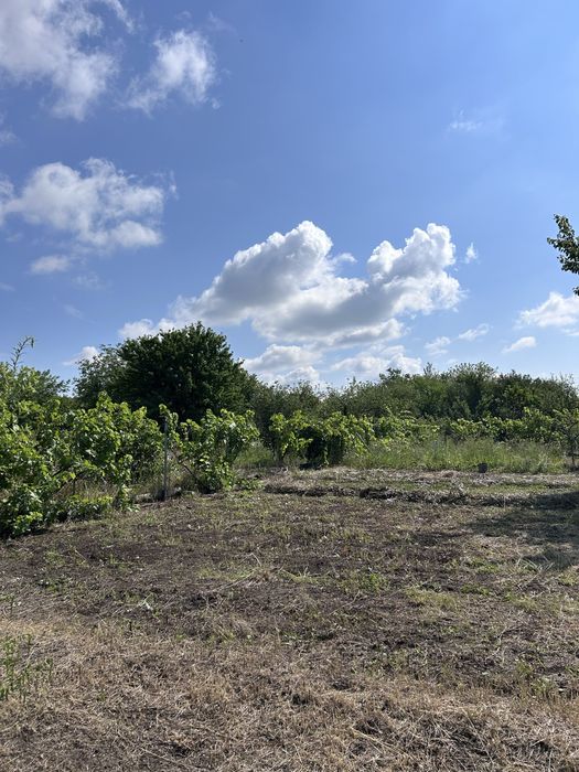 Продам Дачу,  СТ «Елуа», Василівка, 20км.від Дніпра