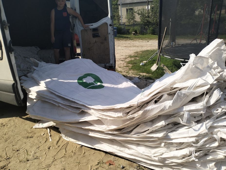 Біг бег американський