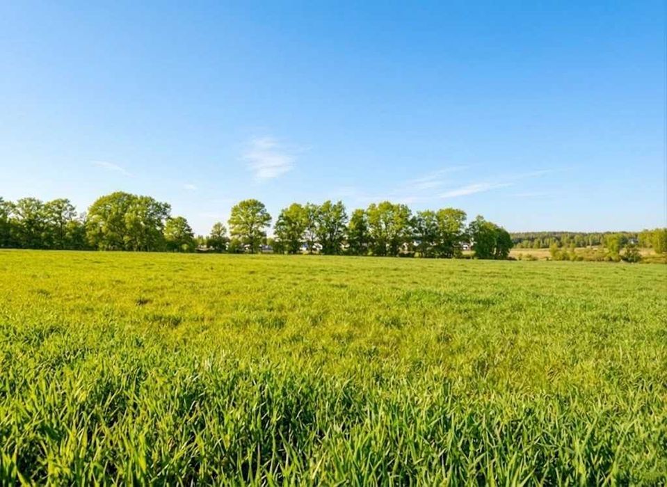 Продаж ділянки 1,70га для будівель закладів освіти. Р-н Ястремщина. ID:771