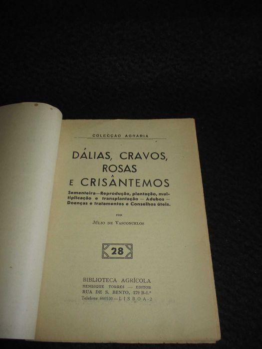 Livro Dálias Cravos Rosas e Crisântemos Júlio de Vasconcelos