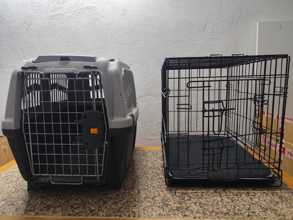 Transportadora de animais