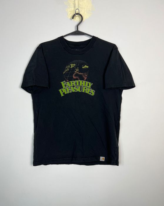 Koszulka Carhartt Earthly Pleasures S/S