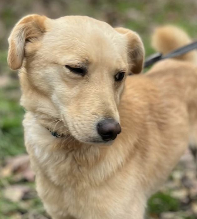 Tofik błaga o szansę ...