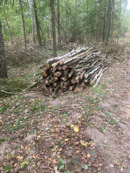 Drewno opałowe kominkowe