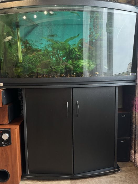 АКВАРИУМ 200л Самовывоз Кривой Рог,Даманский