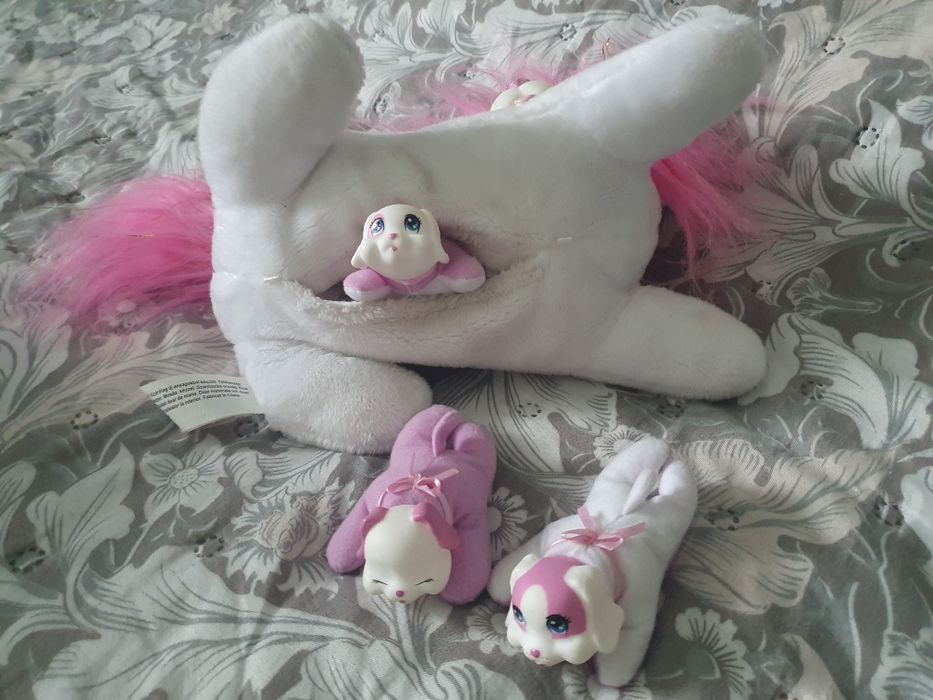 Psia mama ze szczeniakami puppy surprise piesek pies Mandy