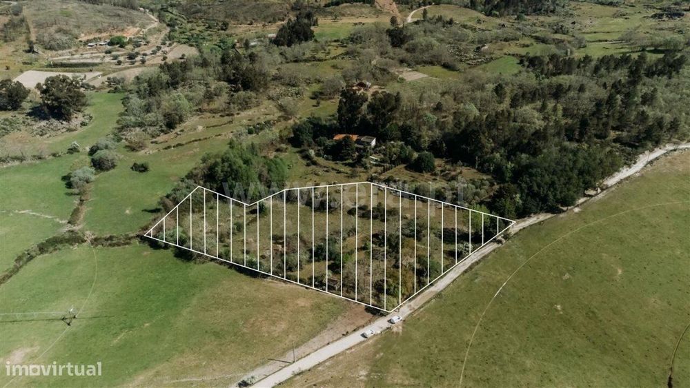 Terreno com ruina / Fundão, Pêro Viseu