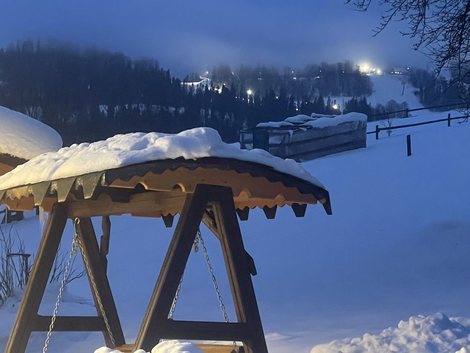 «Карпатська оселя Плай.ОКРЕМИЙ БУДИНОЧОК