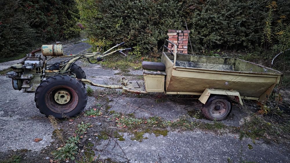Dzik traktorek mtz 05