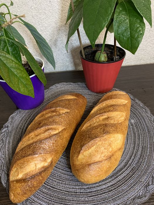 Хліб на заквасці