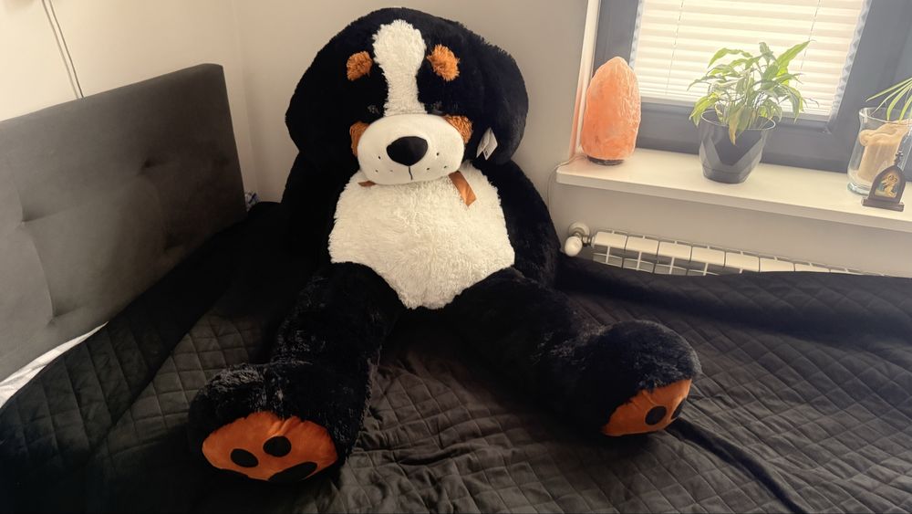 Wielki MIŚ maskotka