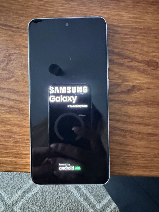 Samsung Galaxy S21 FE 5G