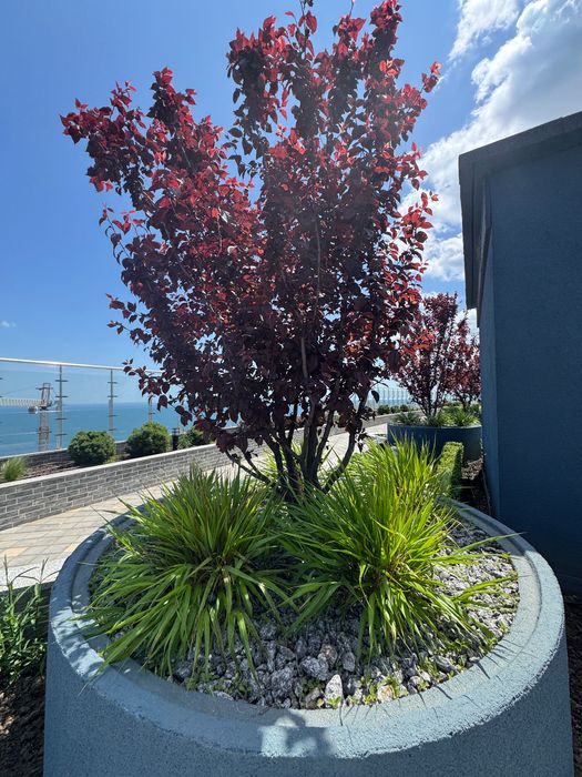 ⁉️Аркадия. Однокомнатная квартира. Вид моря. ЖК Атмосфера