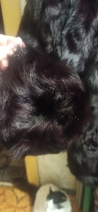 Полушубок из козлика