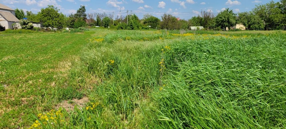 Земельный участок в Новоселовке 25 соток, без строений