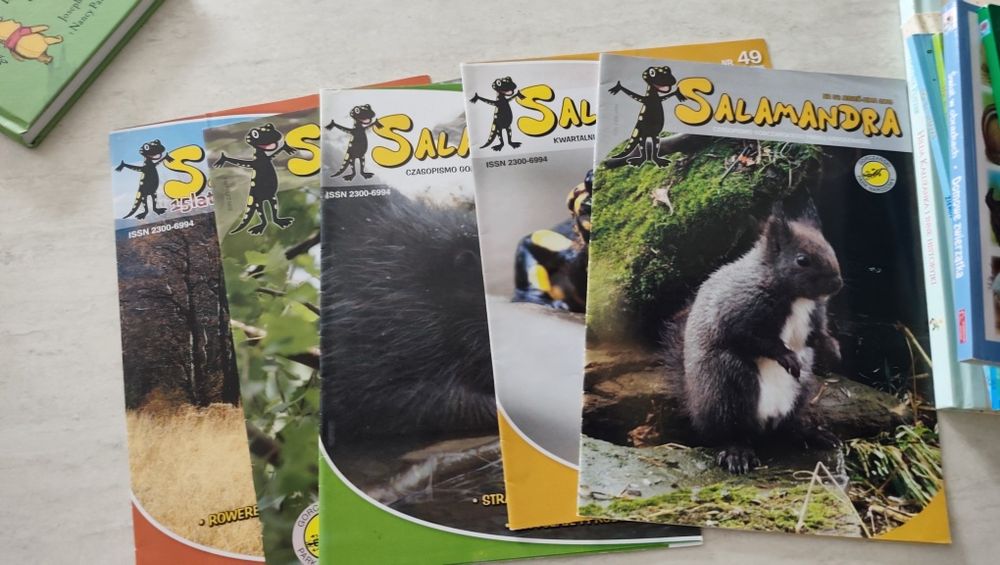 Sprzedam lub oddam stare magazyny salamandra