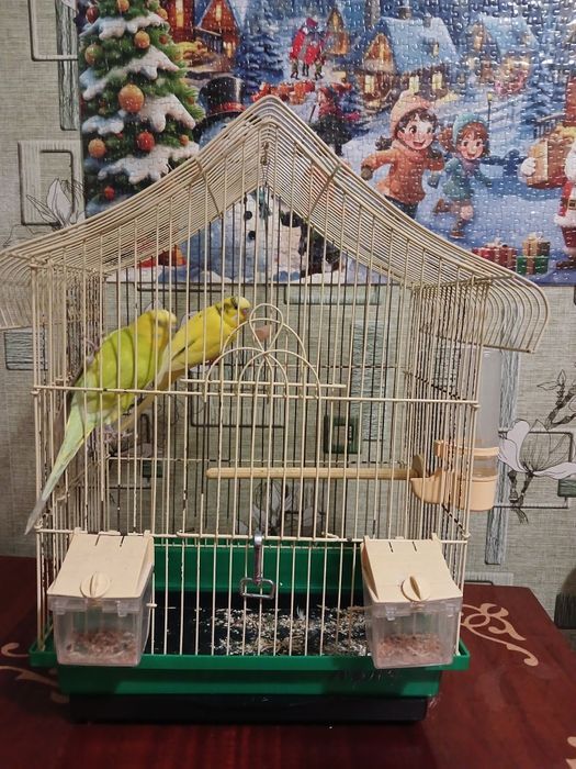 Клітка для папуги