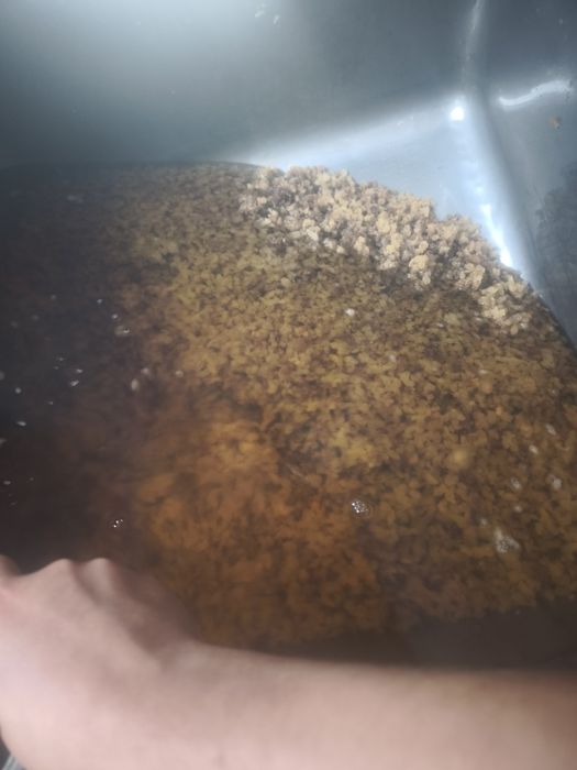 Смалець: Шкварки 1л або 0.5