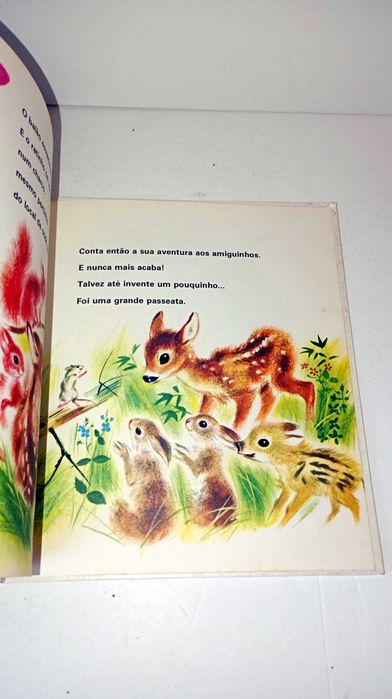 O ratinho no campo - família 2000