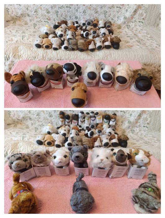 The cat collection  и Dog Collection Собачки и Котики из коллекции