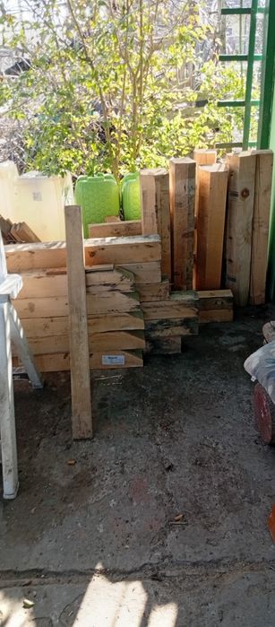Belki metrowe i półtora metrowe